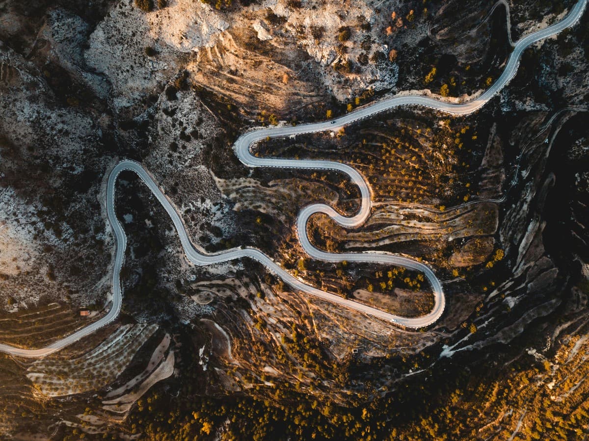 Financial dashboards and clarity replacing instinct-driven decisions